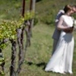 california winery wedding vineyard photo