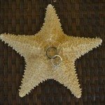 starfish destination wedding ring ocean beach photo