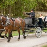 gough wedding carriage mackinac island michigan photo