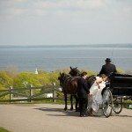 east bluff mackinac island michigan wedding carriage ride photo