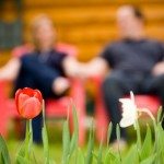 engagement image adirondack chair photo