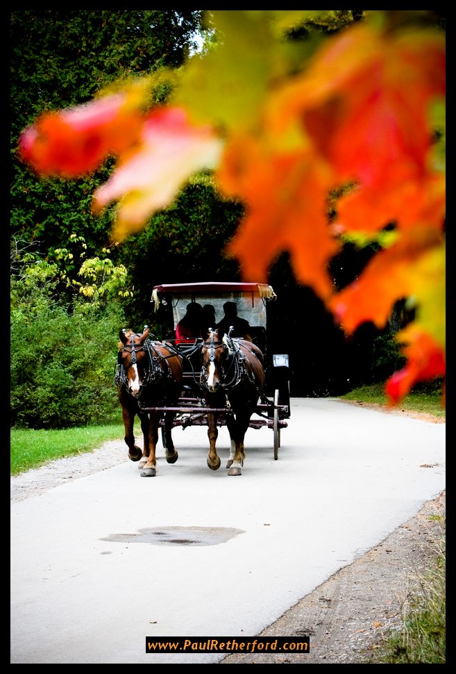 Mackinac_Island_Photography_fall color image