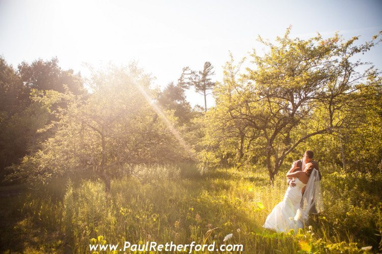 wedding photography apple orchard in northern michigan weddings
