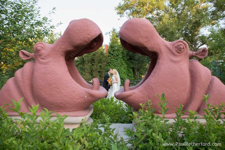 hippo statue the toledo zoo photo