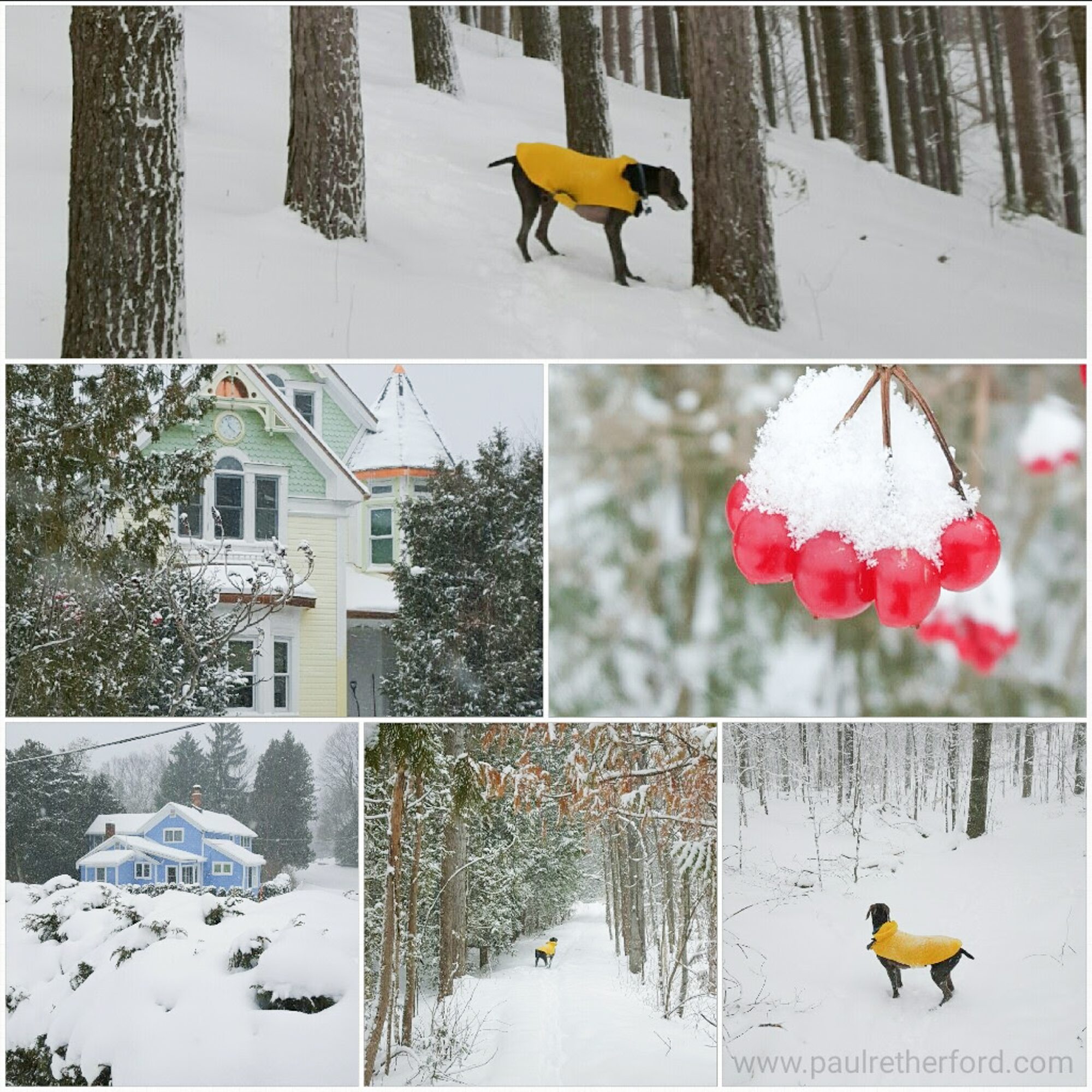 northern michigan photo winter collage