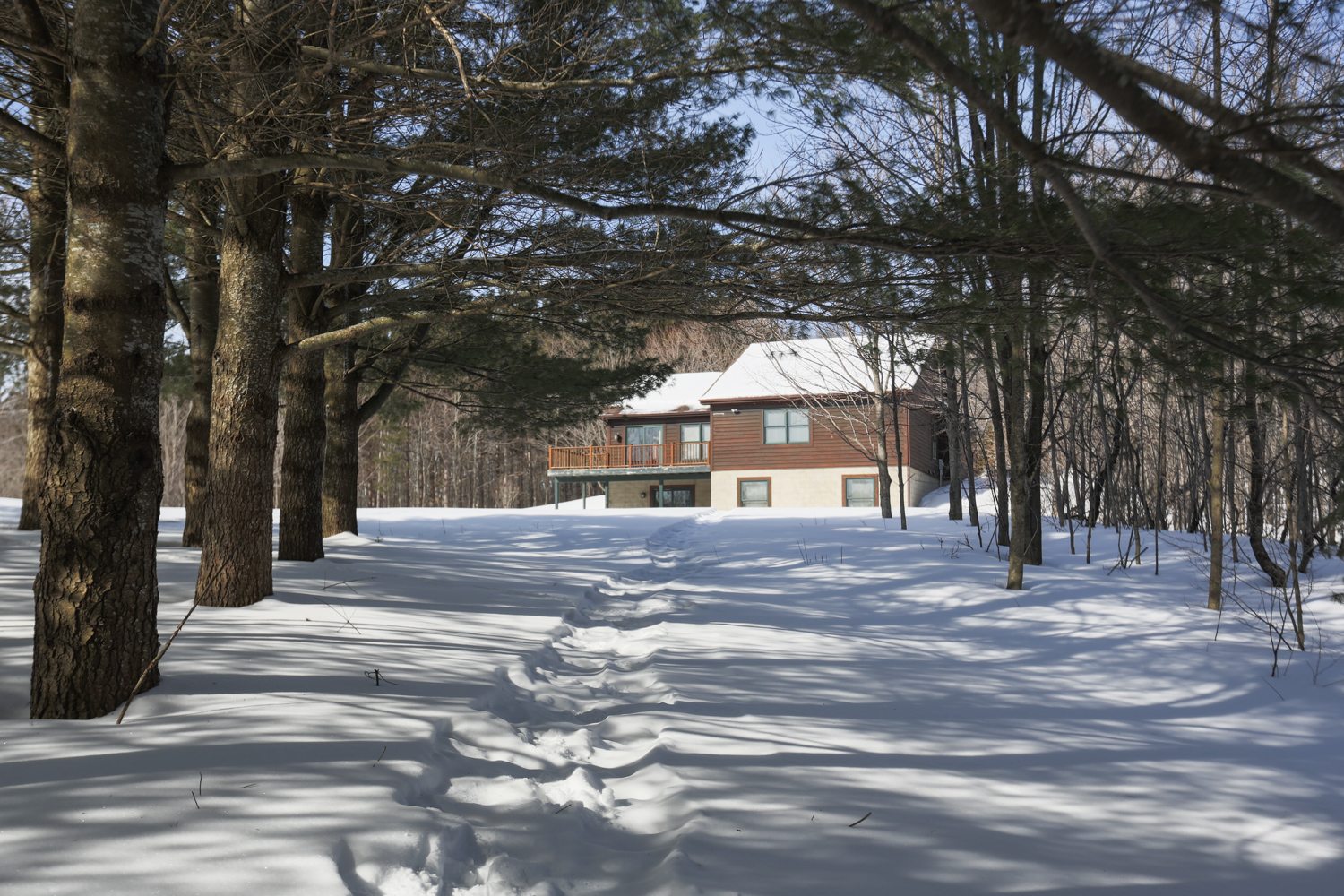 photo home in the woods in petoskey