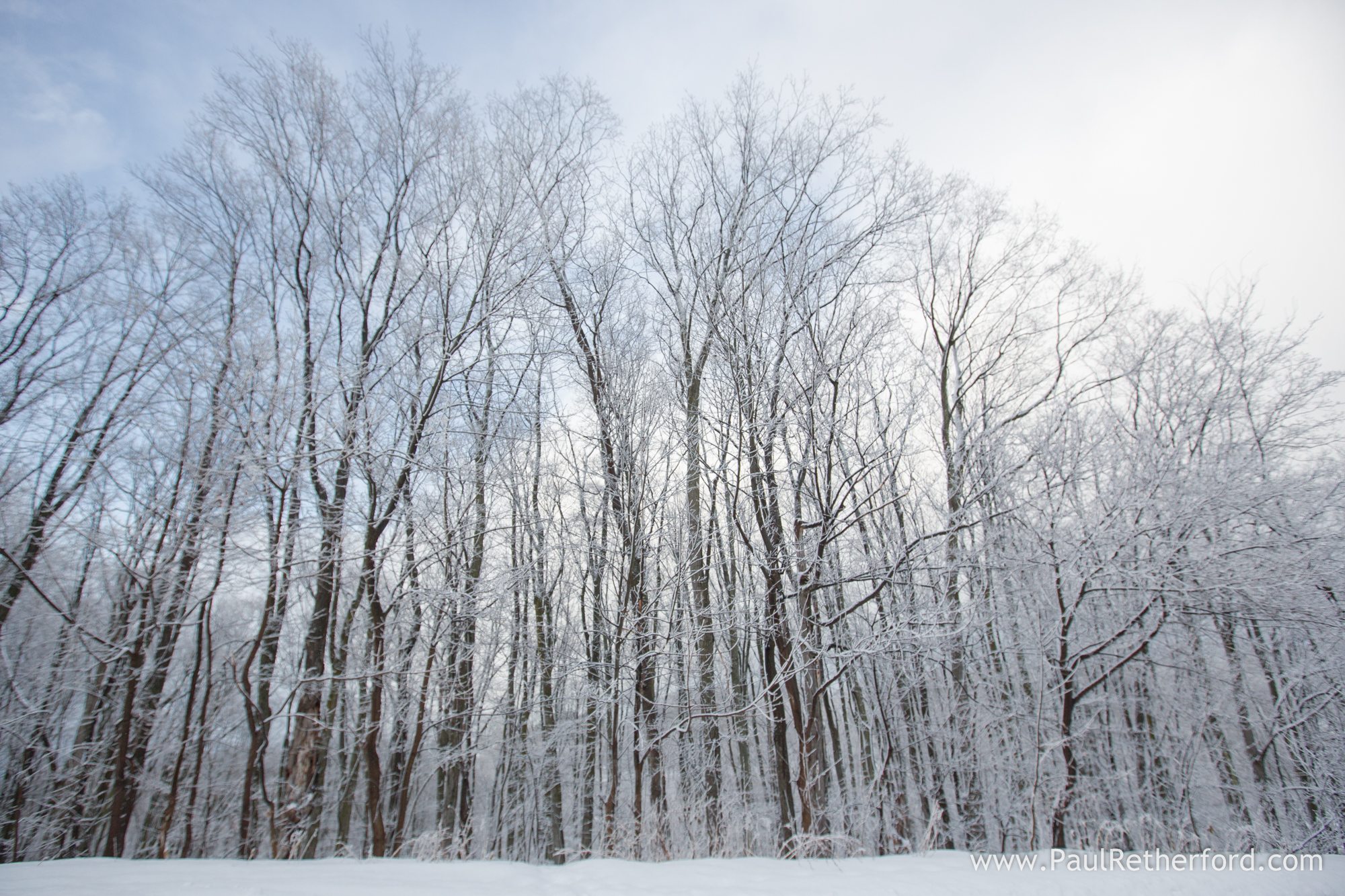 photo winter sports park petoskey