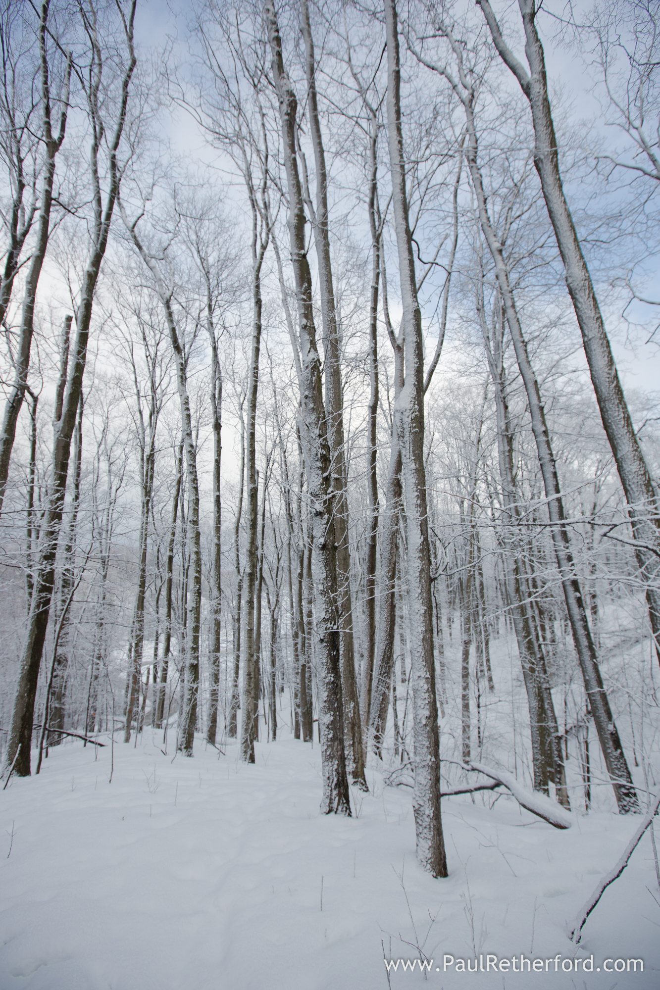photo petoskey storm winter