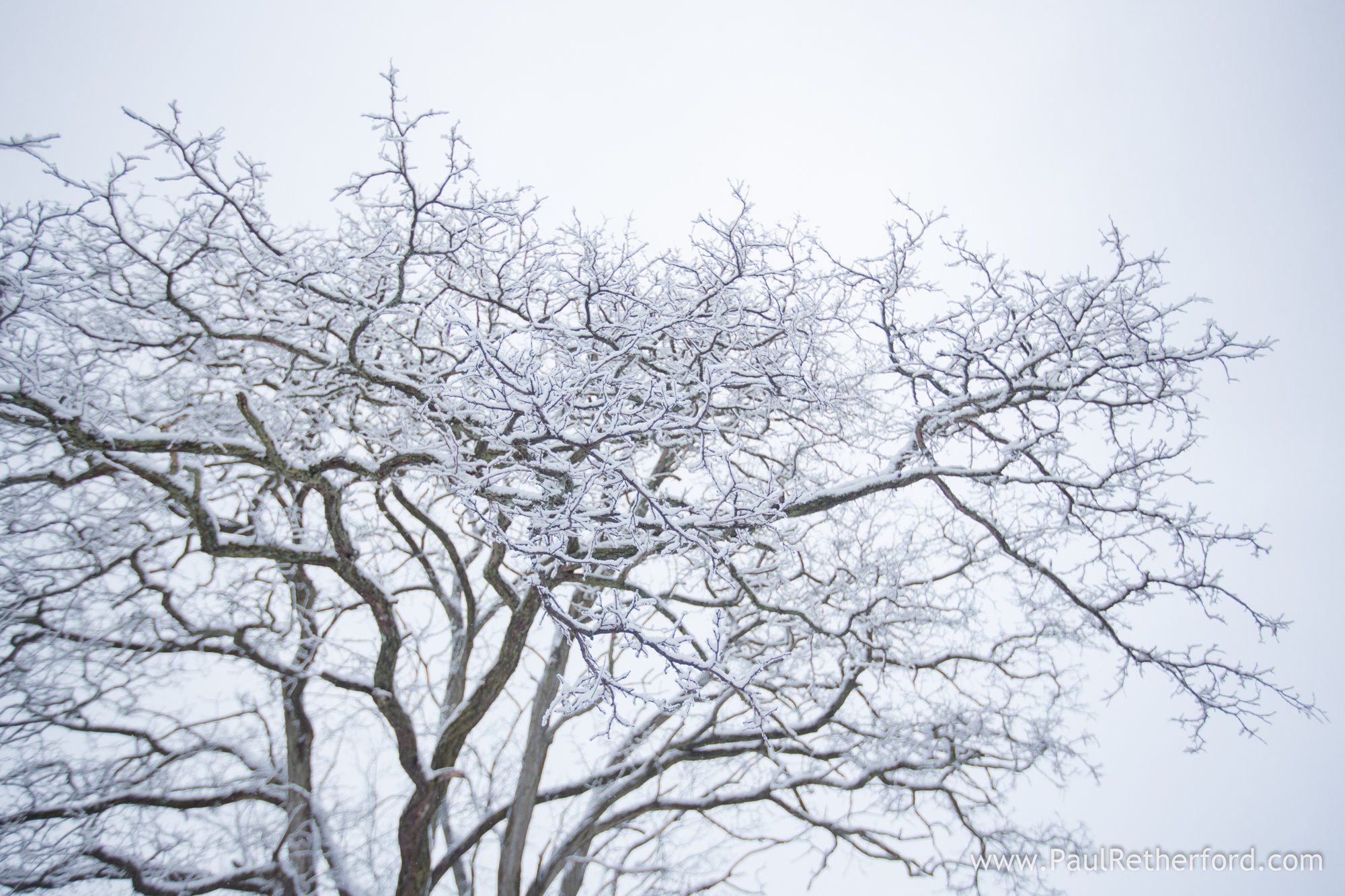 petoskey michigan photo snow