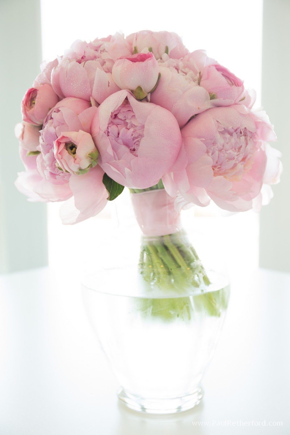 northern michigan petoskey bay harbor photo 0025 - Copy