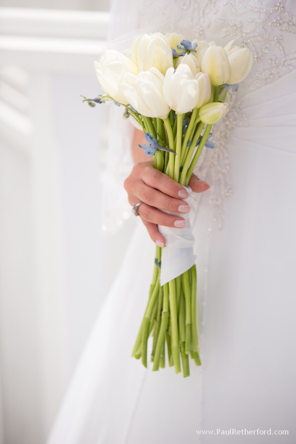 northern michigan petoskey bay harbor photo 0310 - Copy (2)