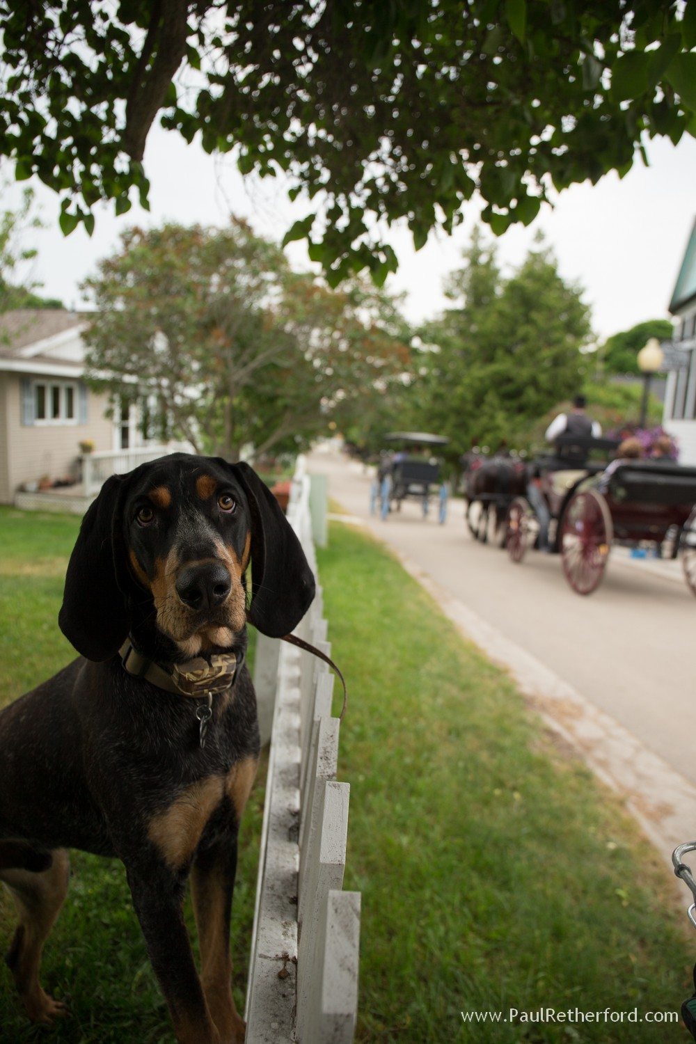 northern michigan petoskey bay harbor photo 0448 - Copy