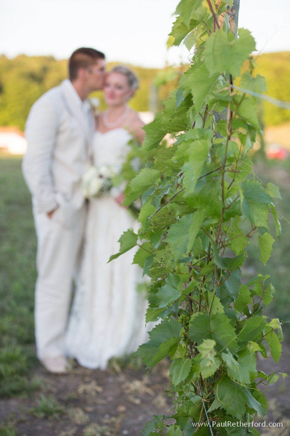 winery in petoskey photo wedding