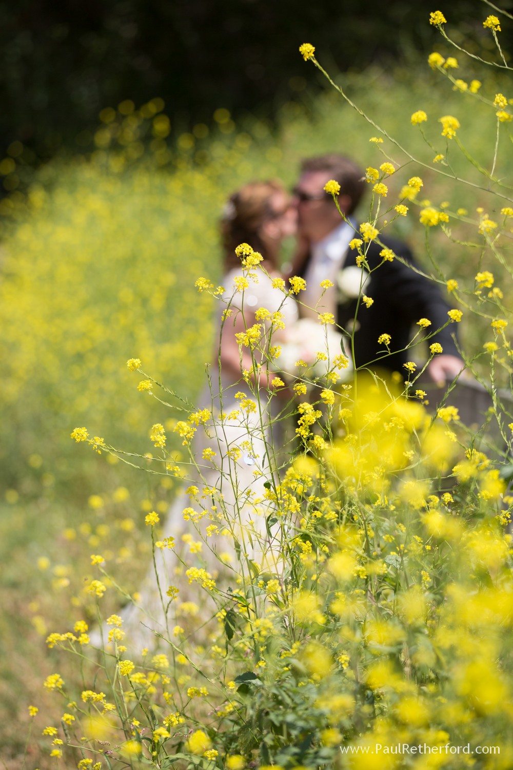 wedding in northern michigan