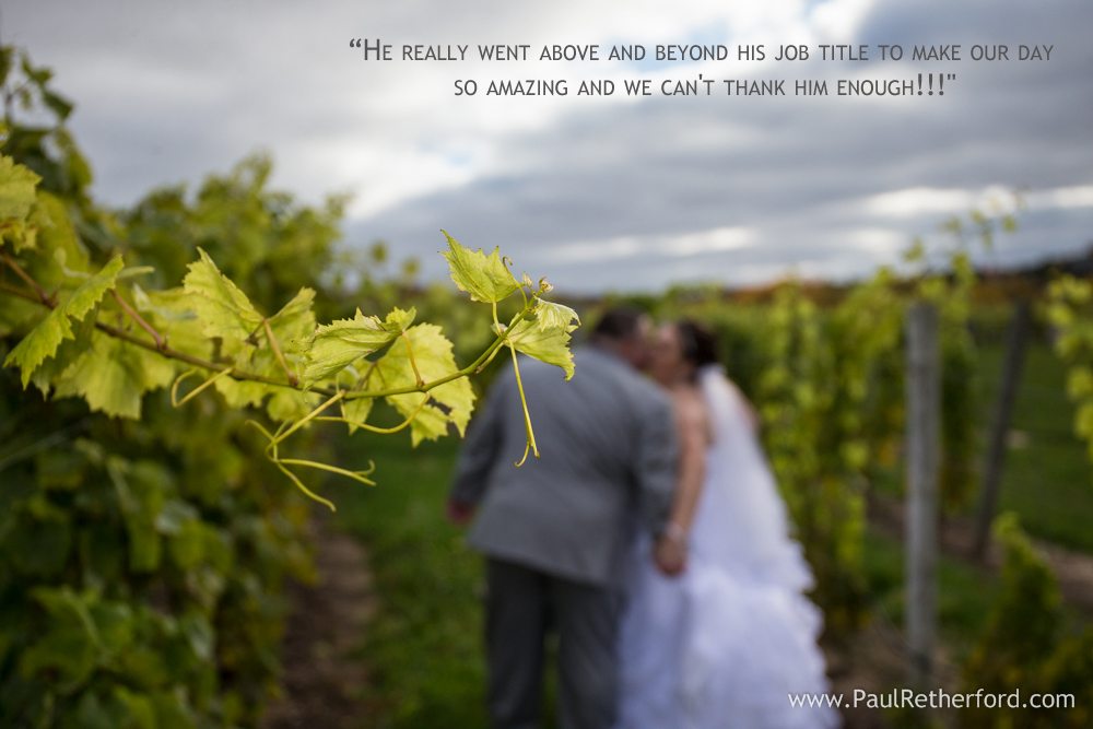 vines wine wedding traverse city photo