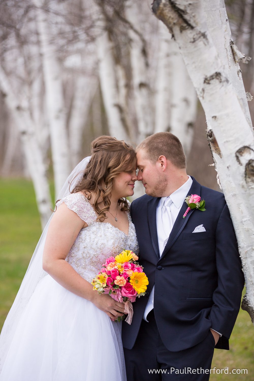 wedding birch trees northern michigan photo