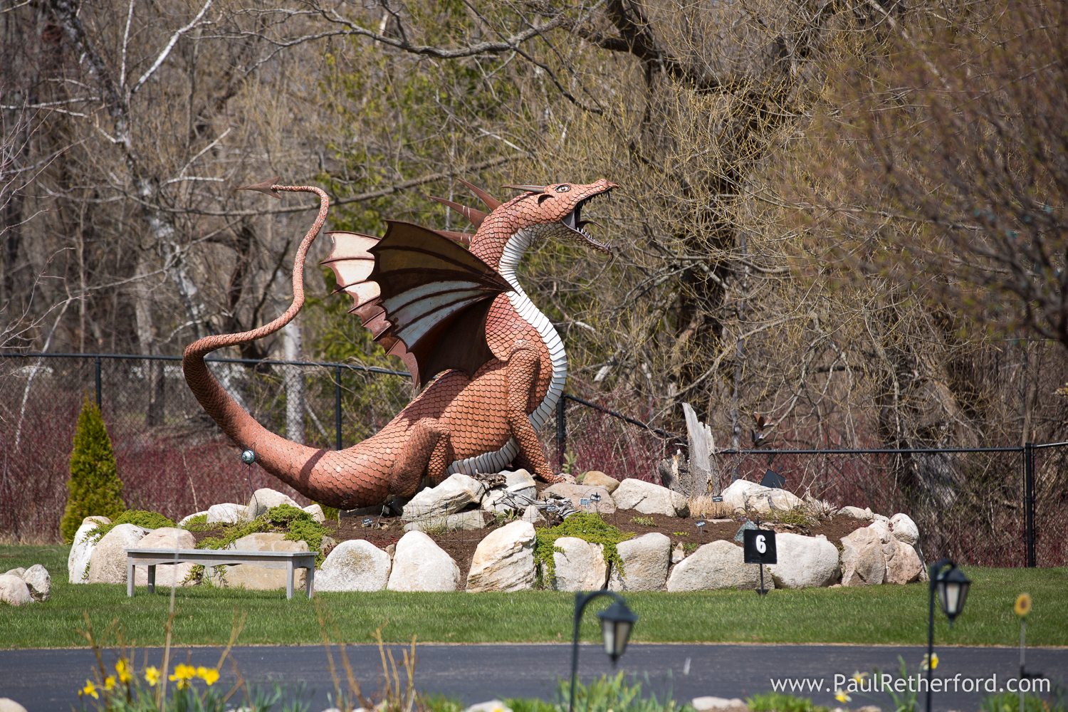 a dragon at a castle photo