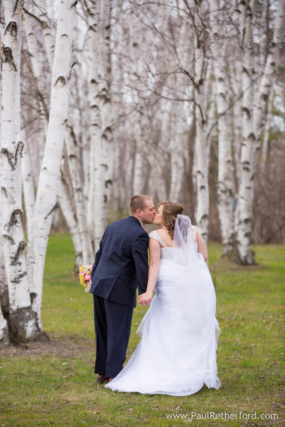 birch trees castle farms photo
