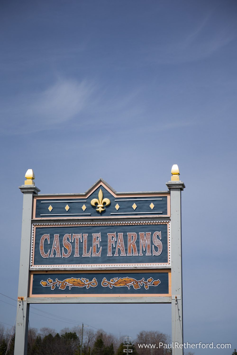 spring wedding castle farms photo