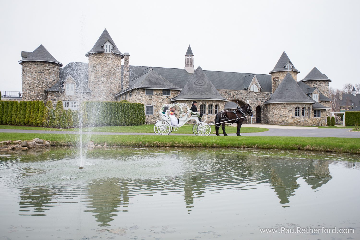 horse carriage rental castle farms photo