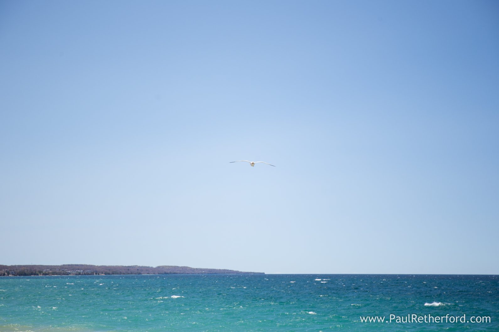little traverse bay wedding photo