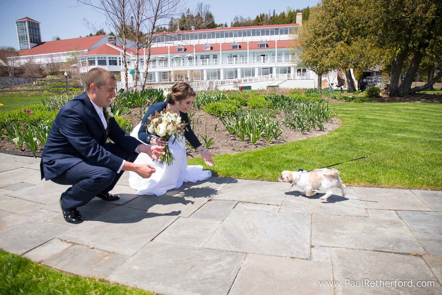 mackinaw island wedding with dog