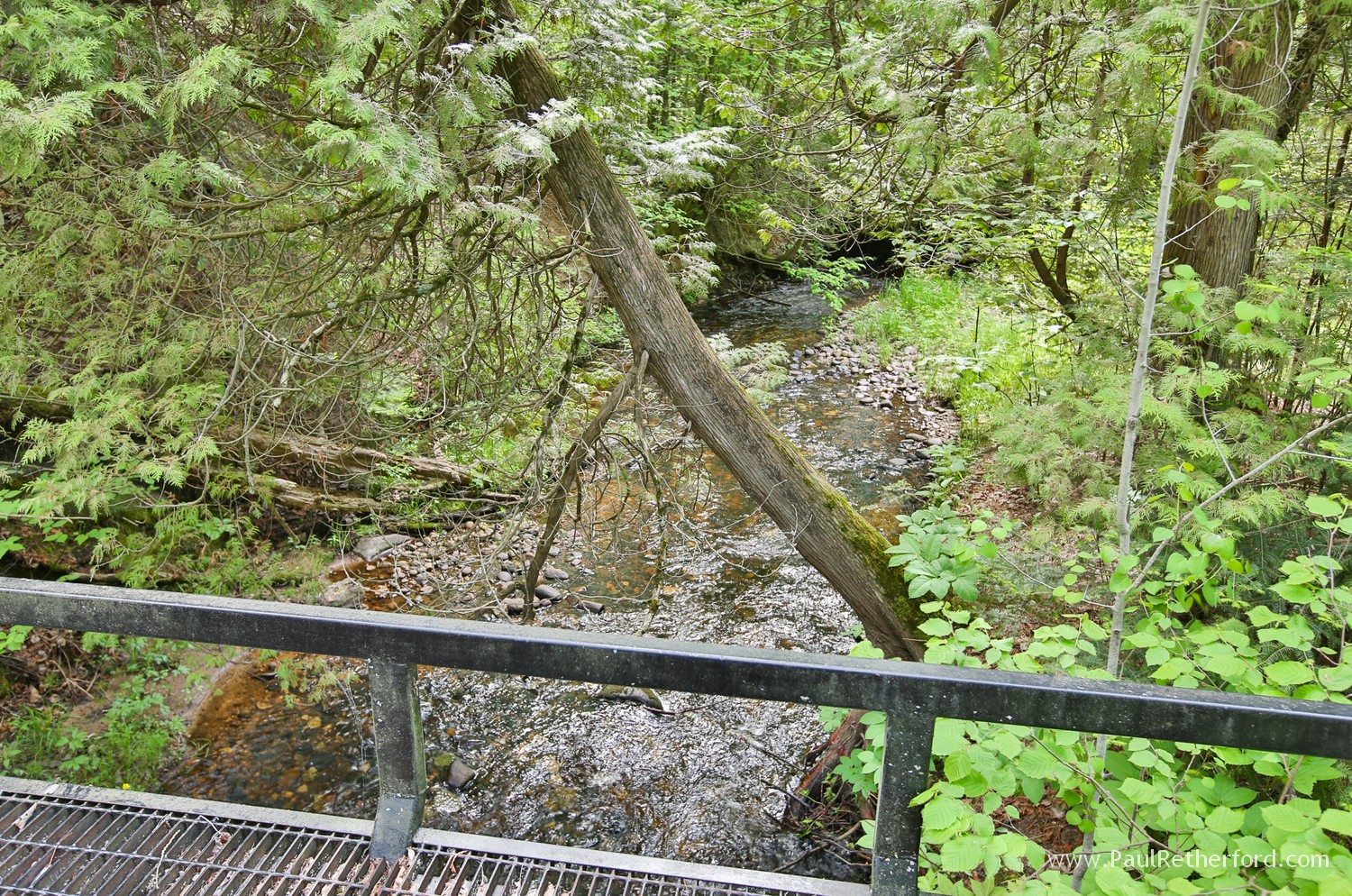 stream running through land