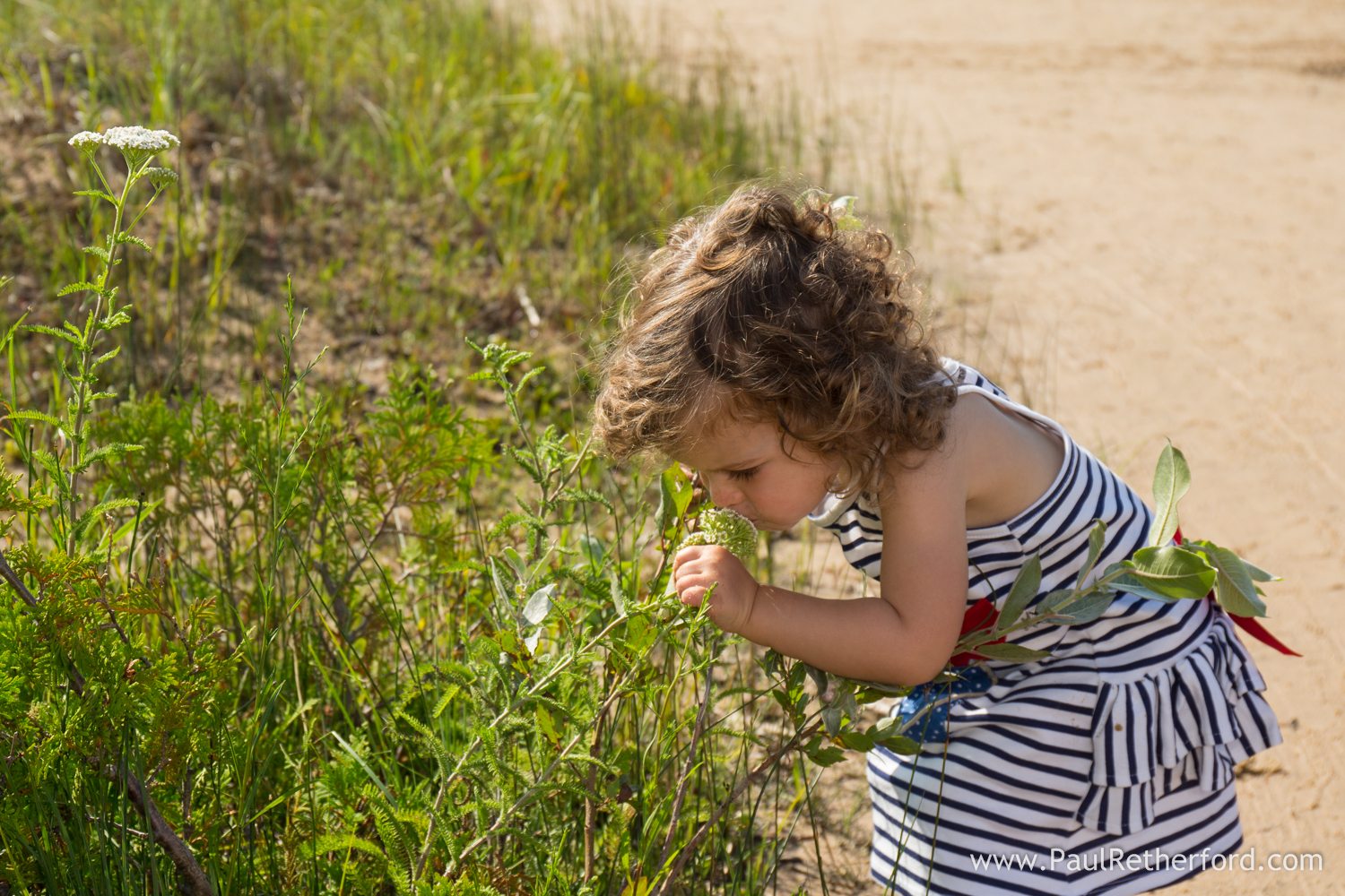 infant smelling flower photo