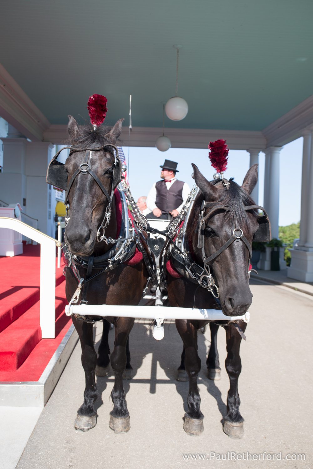 mackinac island wedding carriage photo