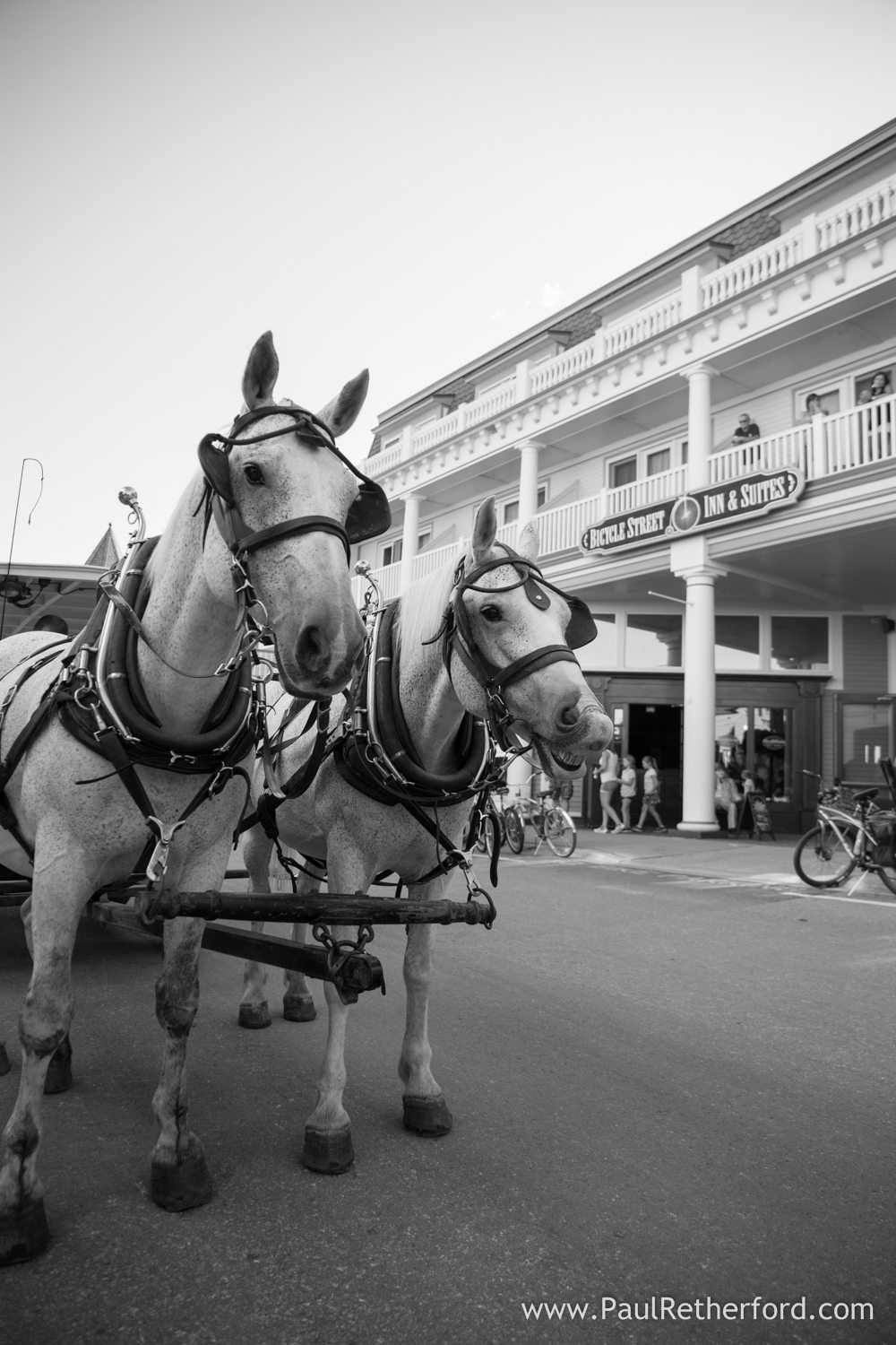 mackinac island horse carriage photo