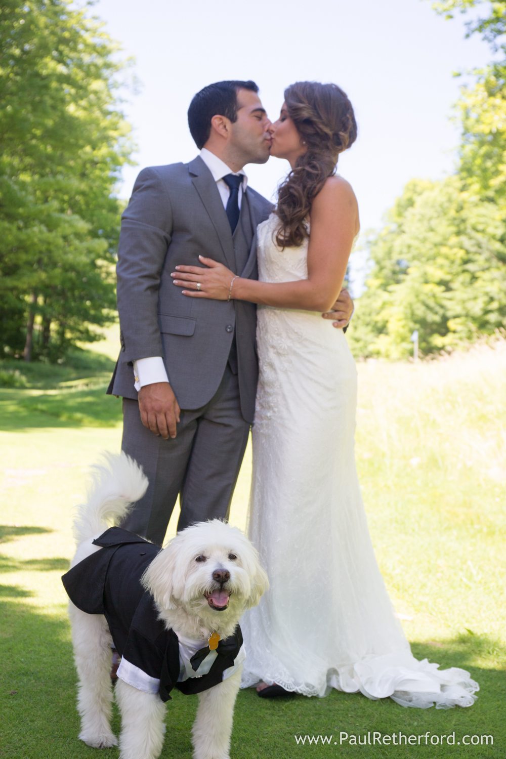 the homestead dog friendly wedding photo