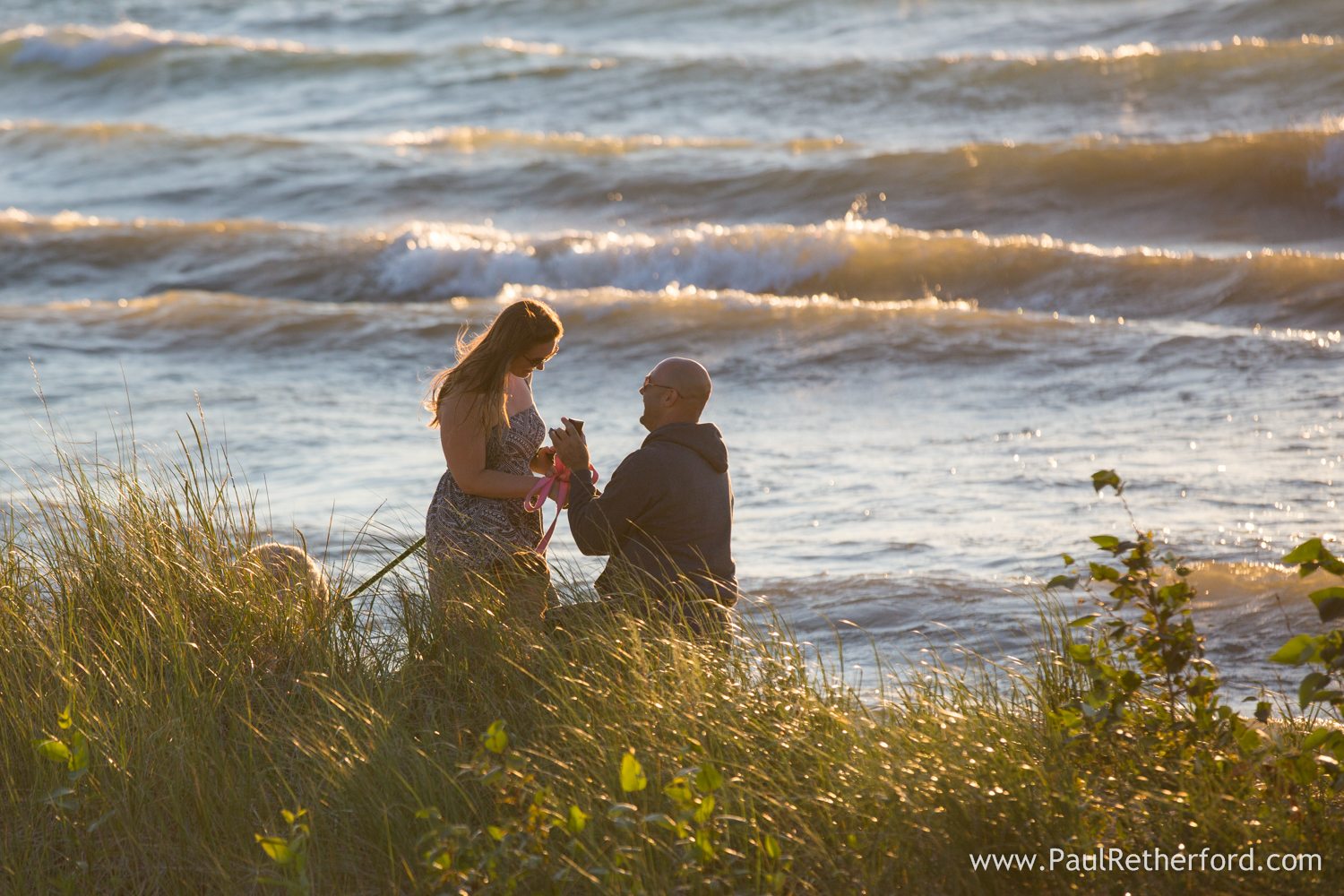 north beach surprise engagement