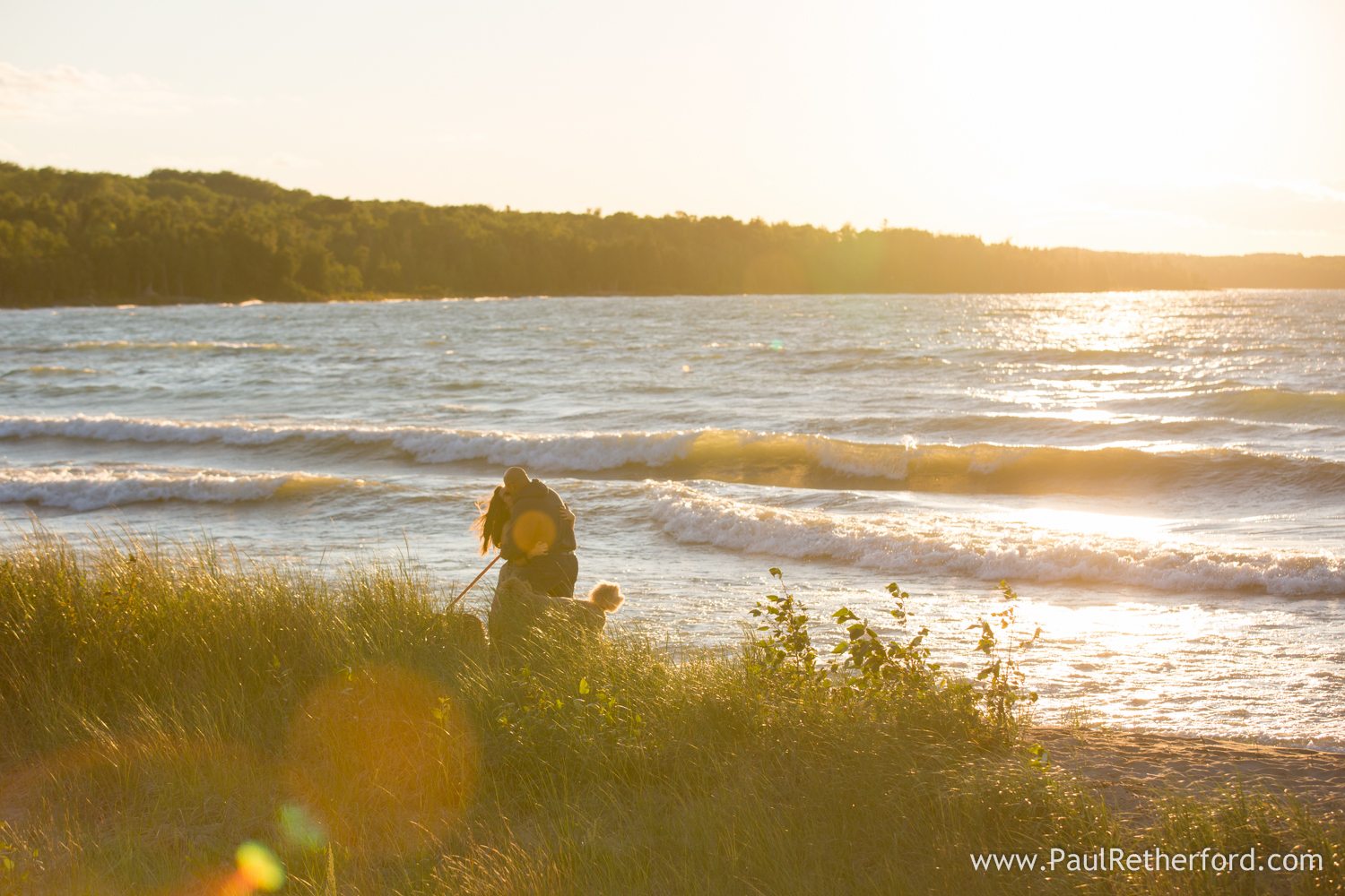 save the date engaged