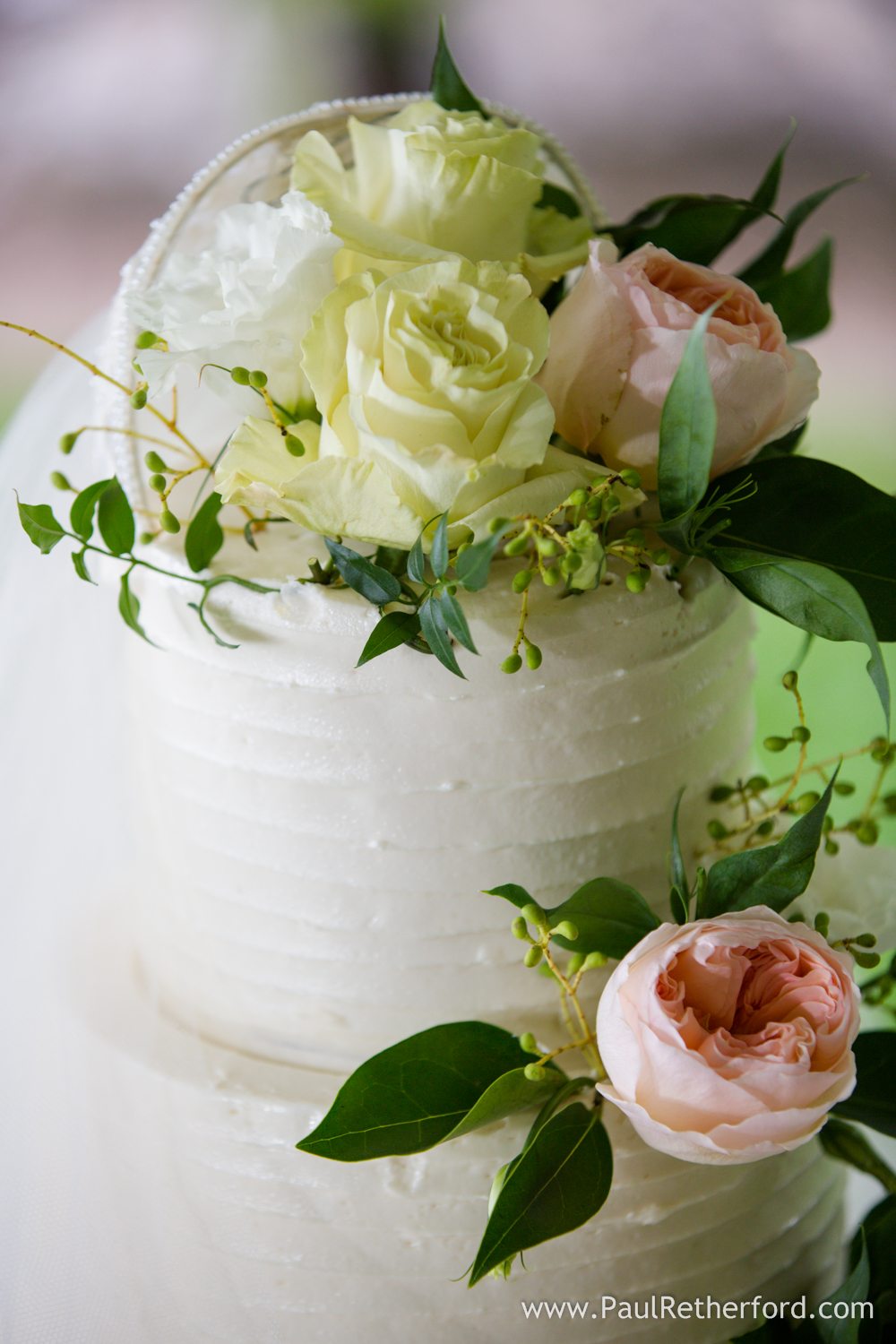 cakes northern michigan simply sweet by jessica