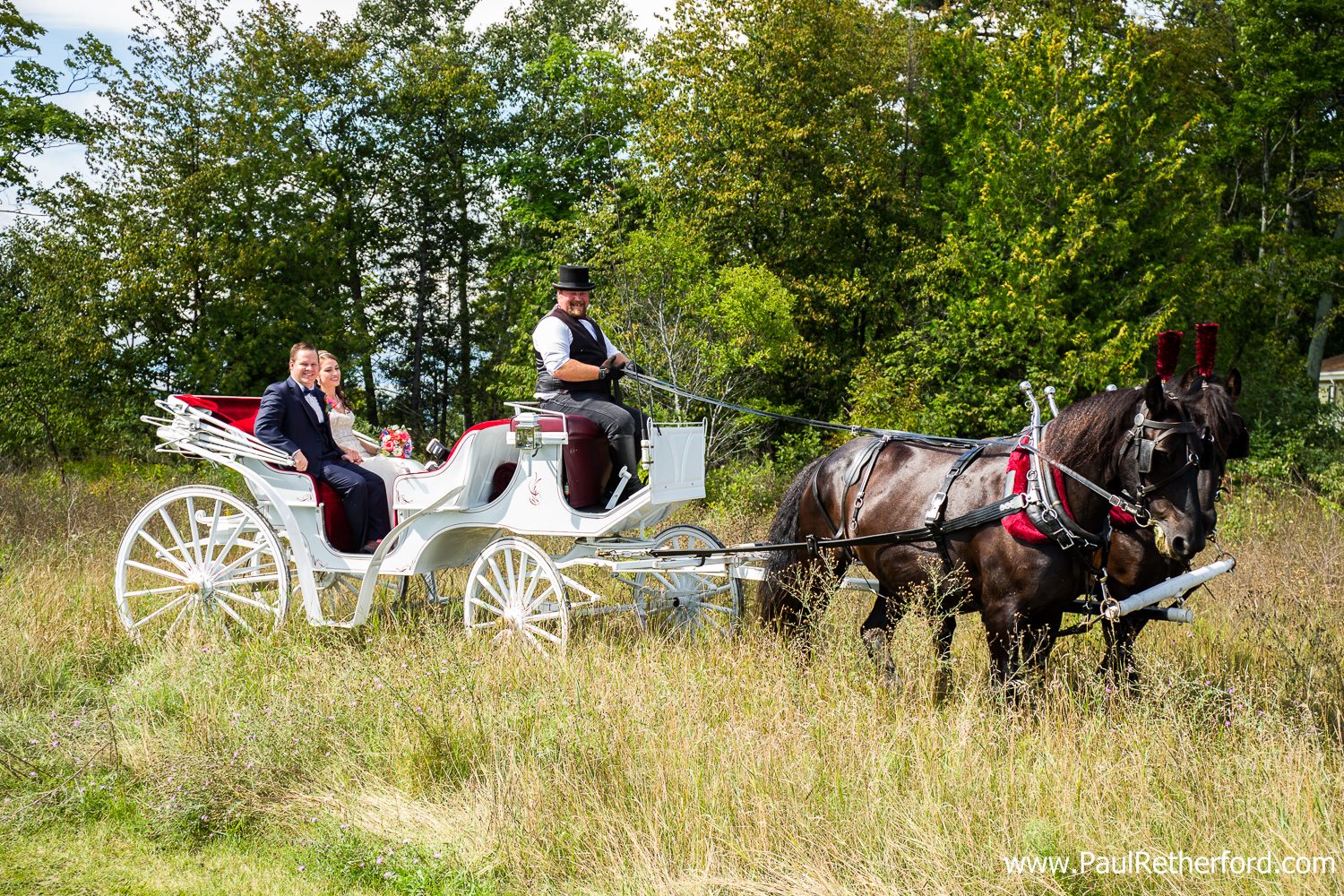 mackinac island wedding carriage photo