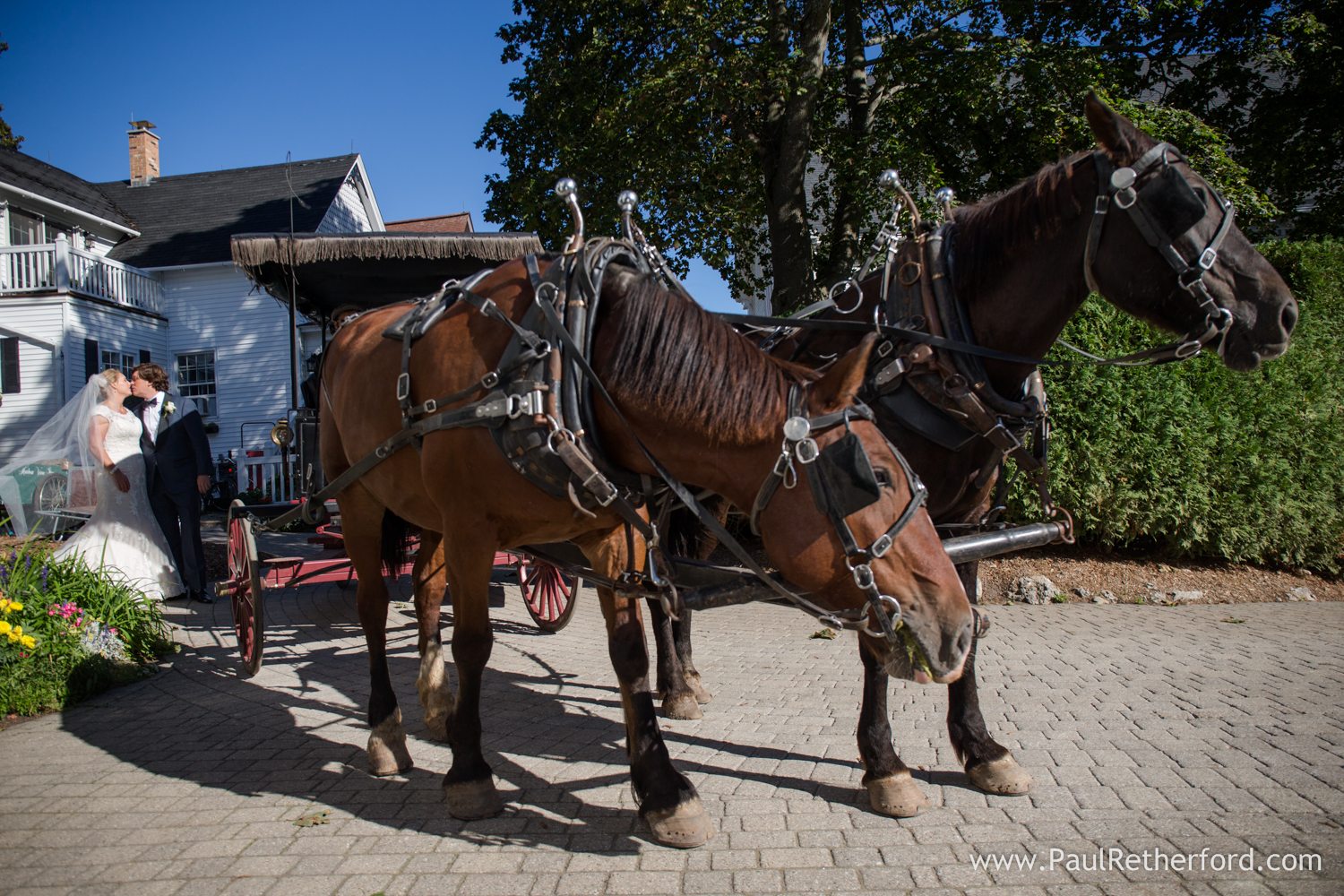 wedding carriage mackinac island michigan