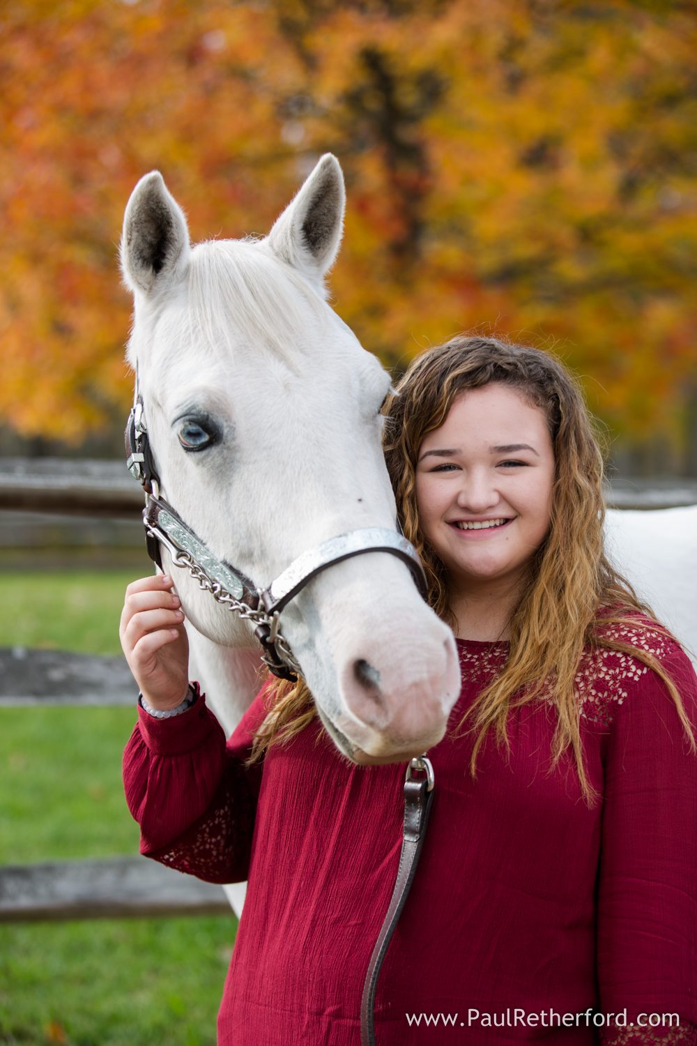 horse senior high school photo