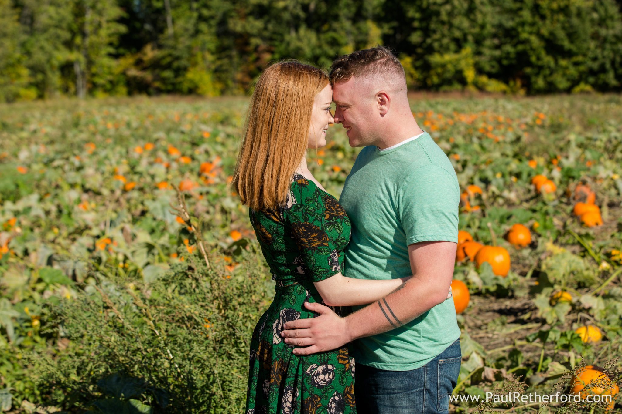 pumpkin patch engage photo