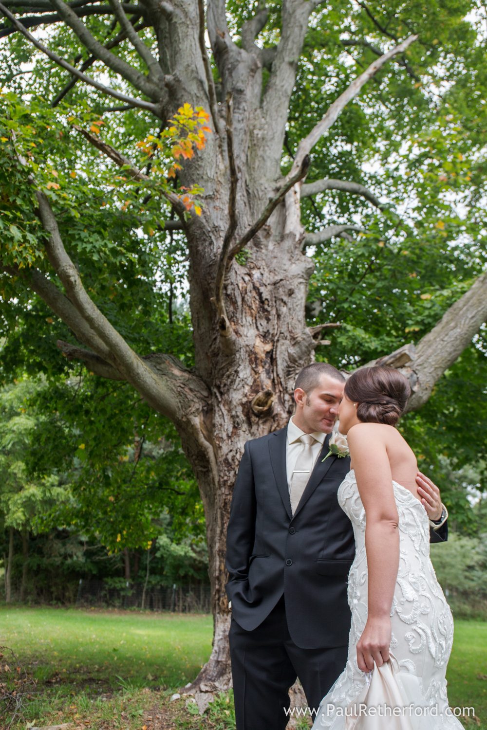 northern michigan weddings