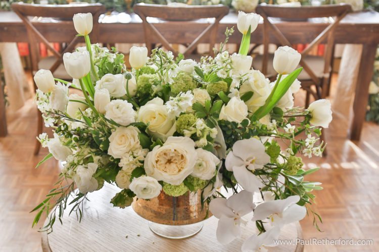 wedding show petoskey michigan photo