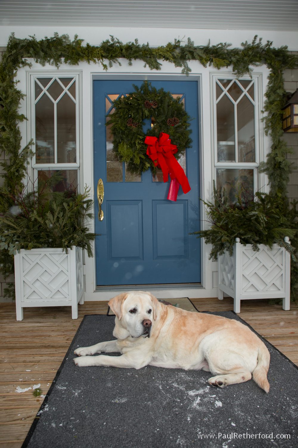 dog walloon lake family photo