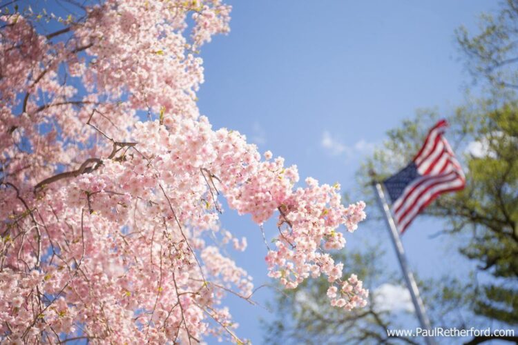 Portage Lake Bible Camp Onekama Manistee Wedding Photography