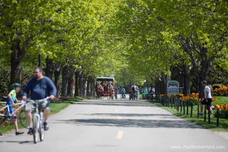 entering mission point resort wedding