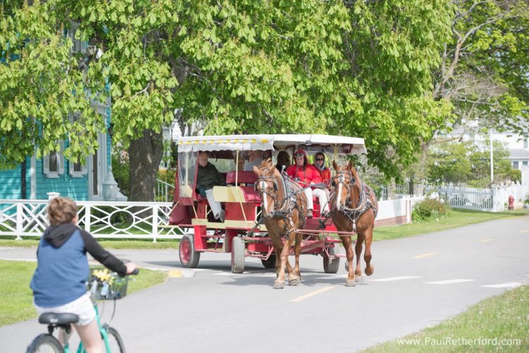 mackinac island vow renewal