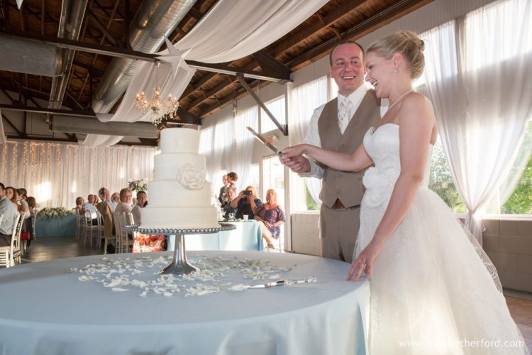 cake cutting sue swider design alpena