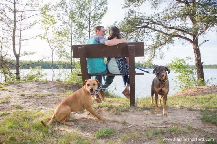 dogs engagement photo northern michigan