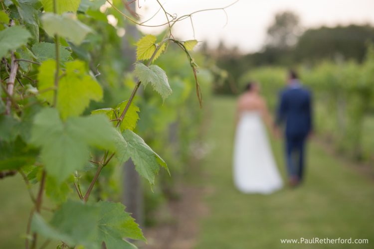 winery wedding petoskey michigan photo