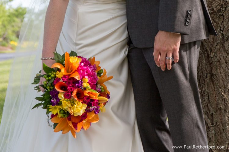 upsy daisy floral photo