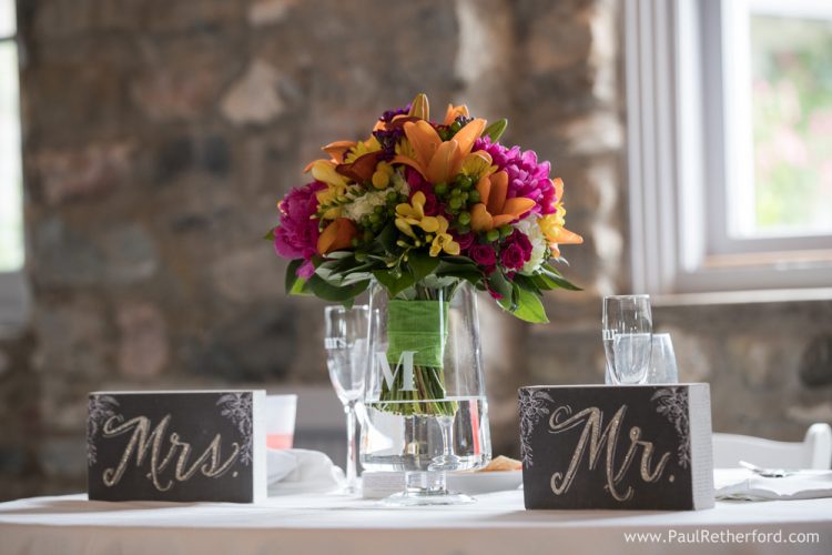 upsy daisy floral photo