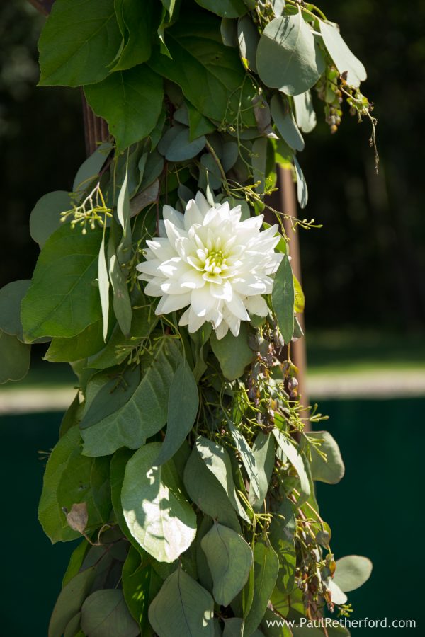 white green floral detail photo